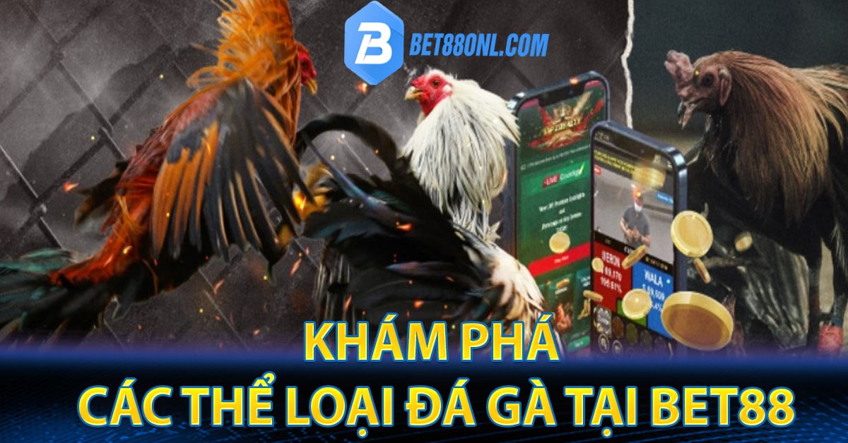 Khám phá các thể loại đá gà tại Bet88