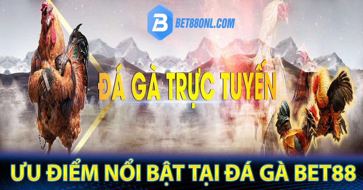 Một số ưu điểm nổi bật tại đá gà Bet88